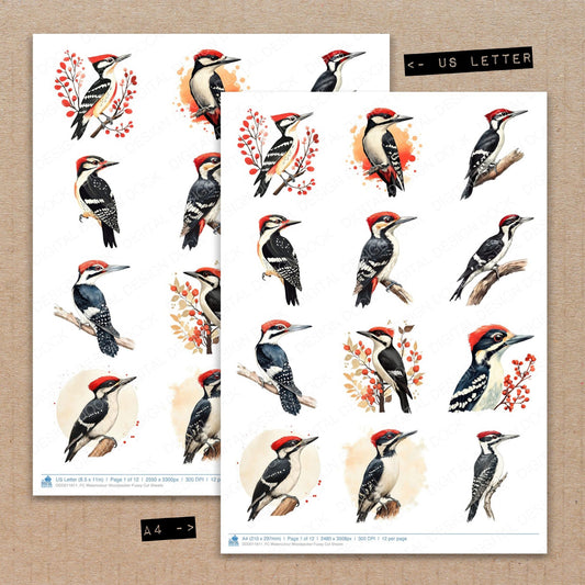A4 and US Letter format comparison showing Watercolour Woodpecker fussy cut pages for print and cut crafting