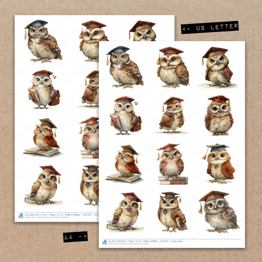 A4 and US Letter format comparison showing Whimsical Owl Cap fussy cut pages for print and cut crafting