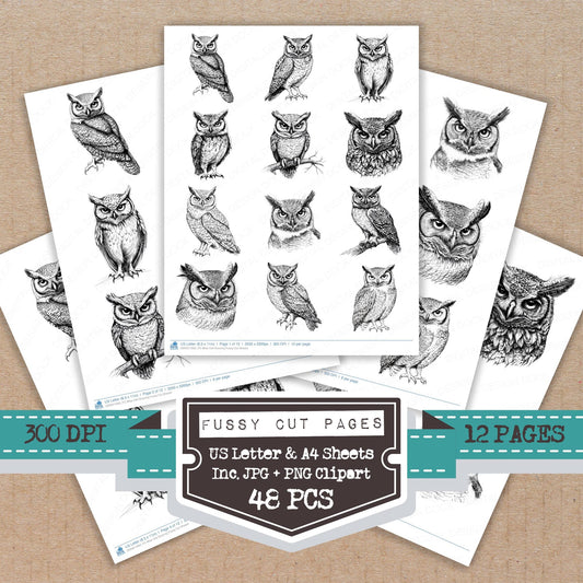Wise Owl Drawing fussy cut printable sheets for junk journaling, scrapbooking, and paper craft projects