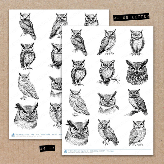 A4 and US Letter format comparison showing Wise Owl Drawing fussy cut pages for print and cut crafting