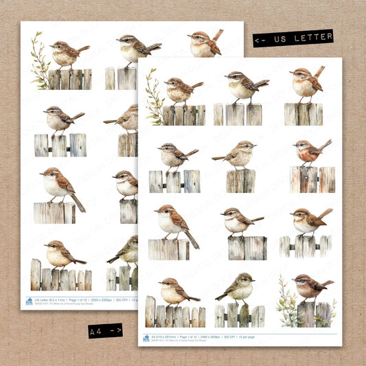 A4 and US Letter format comparison showing Wren on a Fence fussy cut pages for print and cut crafting
