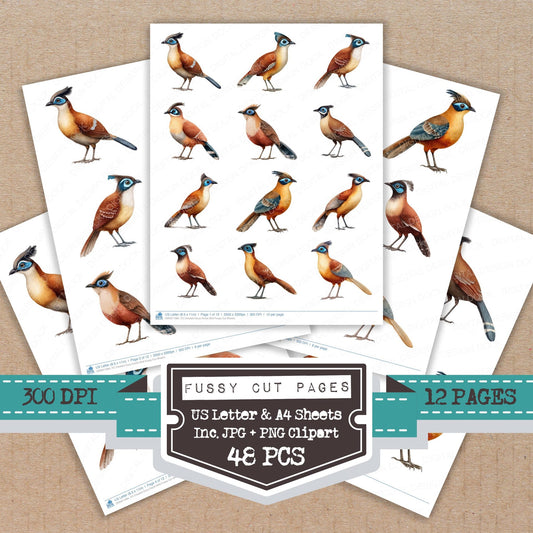 Crested Coua Exotic Bird fussy cut printable sheets for junk journaling, scrapbooking, and paper craft projects
