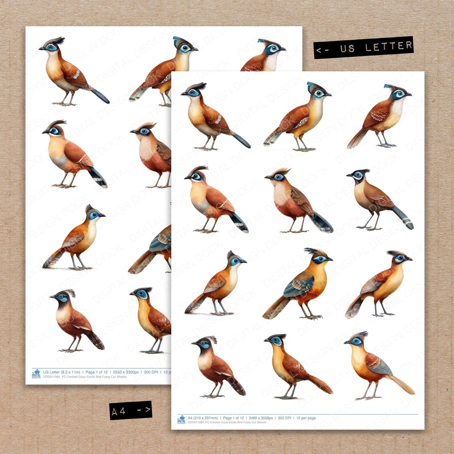 A4 and US Letter format comparison showing Crested Coua Exotic Bird fussy cut pages for print and cut crafting