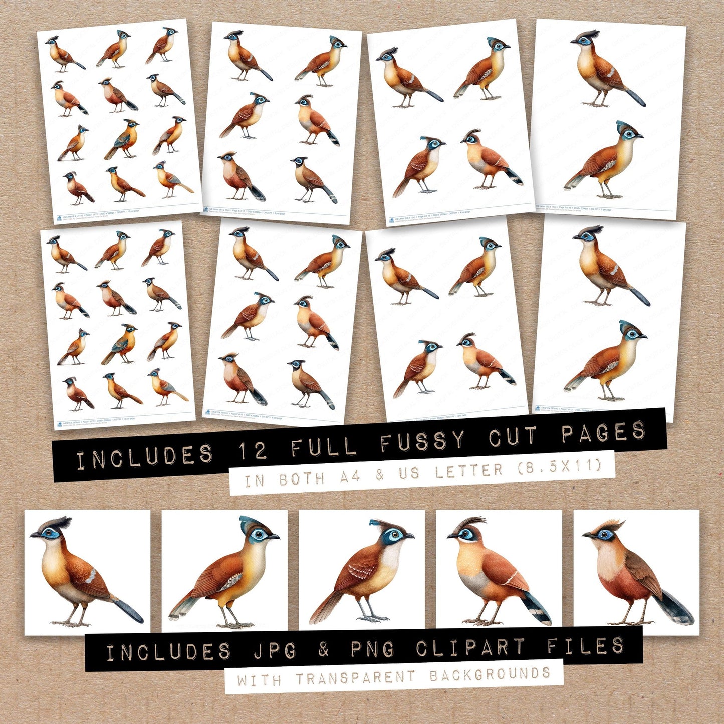 Full collection view of Crested Coua Exotic Bird fussy cut sheets with bonus clipart JPG and PNG files