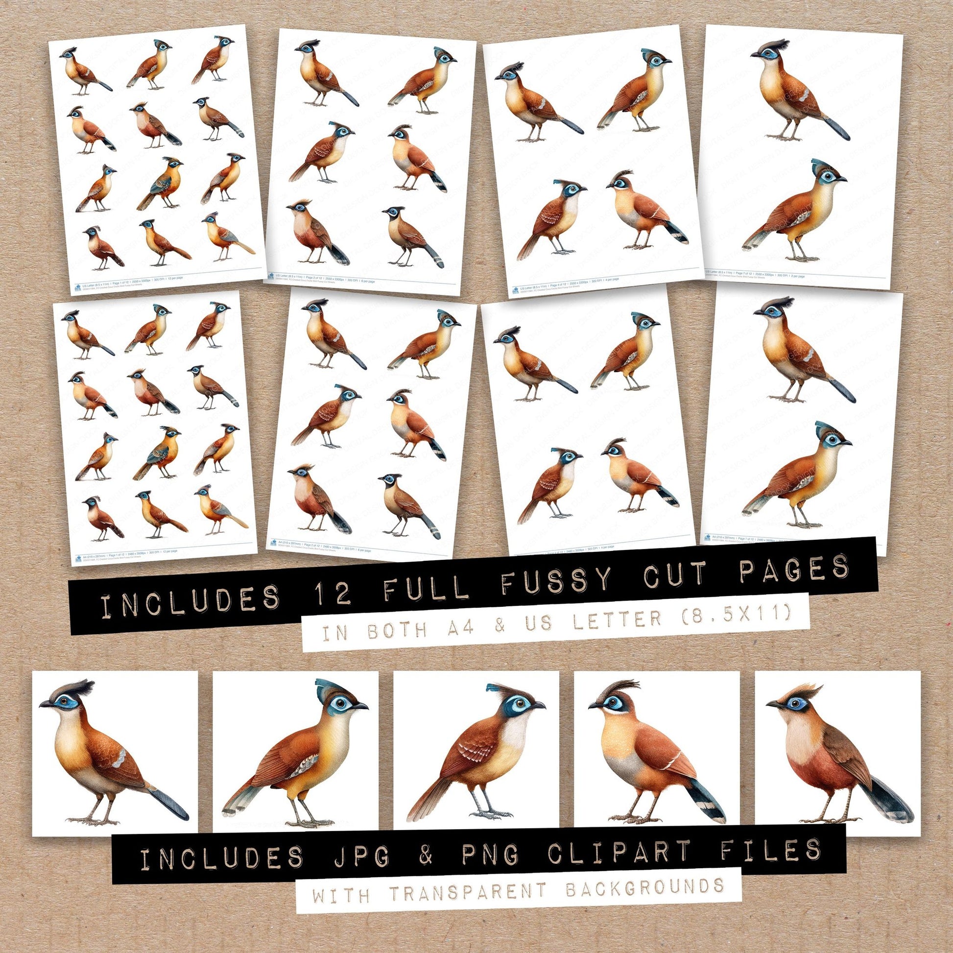 Full collection view of Crested Coua Exotic Bird fussy cut sheets with bonus clipart JPG and PNG files