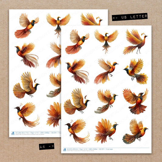 A4 and US Letter format comparison showing Exotic Bird Of Paradise fussy cut pages for print and cut crafting