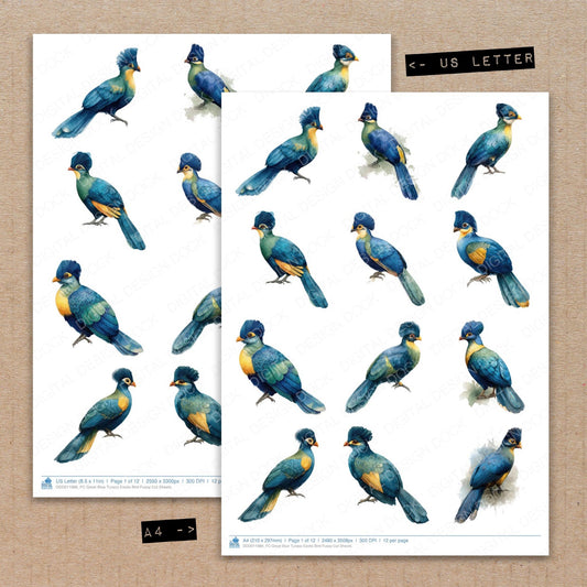A4 and US Letter format comparison showing Great Blue Turaco Exotic Bird fussy cut pages for print and cut crafting