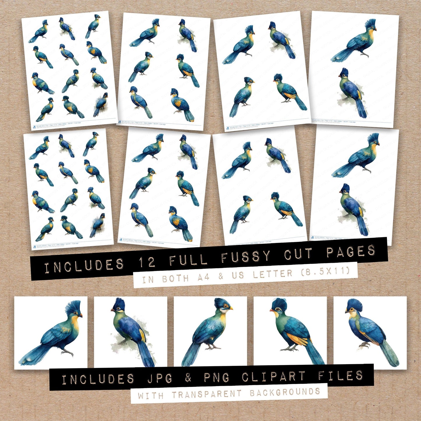 Full collection view of Great Blue Turaco Exotic Bird fussy cut sheets with bonus clipart JPG and PNG files
