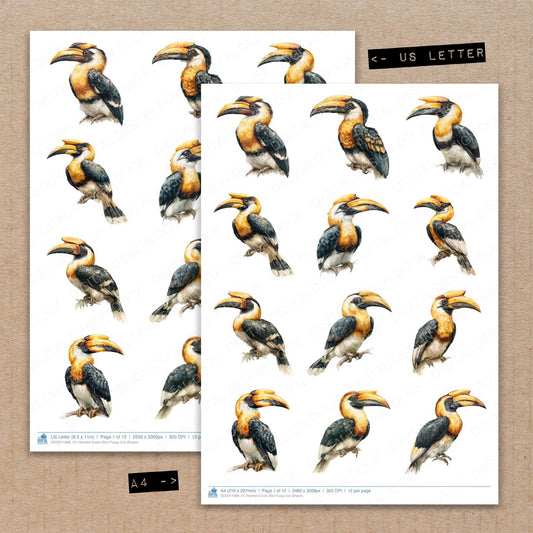 A4 and US Letter format comparison showing Hornbill Exotic Bird fussy cut pages for print and cut crafting