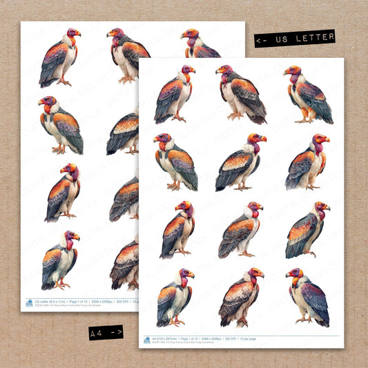 A4 and US Letter format comparison showing King Vulture Exotic Bird fussy cut pages for print and cut crafting