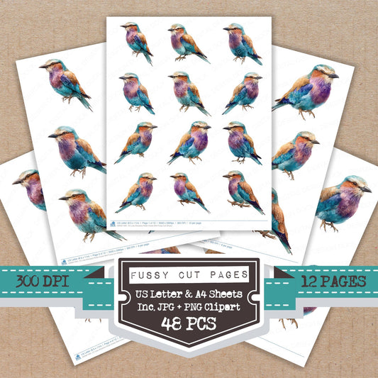 Lilac Breasted Roller Exotic Bird fussy cut printable sheets for junk journaling, scrapbooking, and paper craft projects
