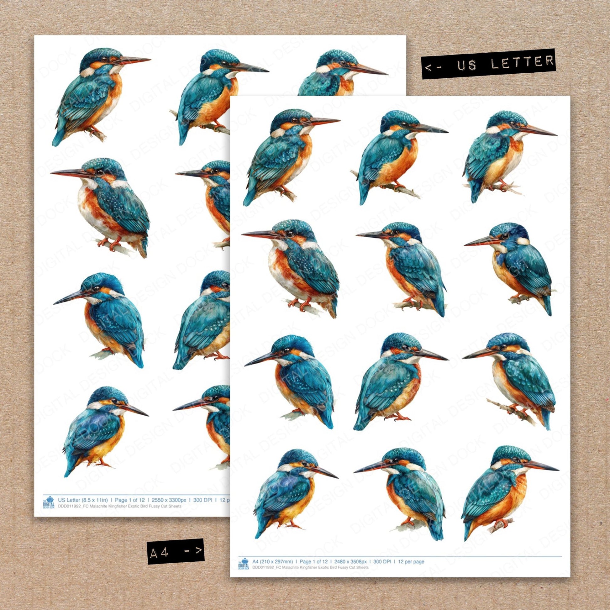 A4 and US Letter format comparison showing Malachite Kingfisher Exotic Bird fussy cut pages for print and cut crafting