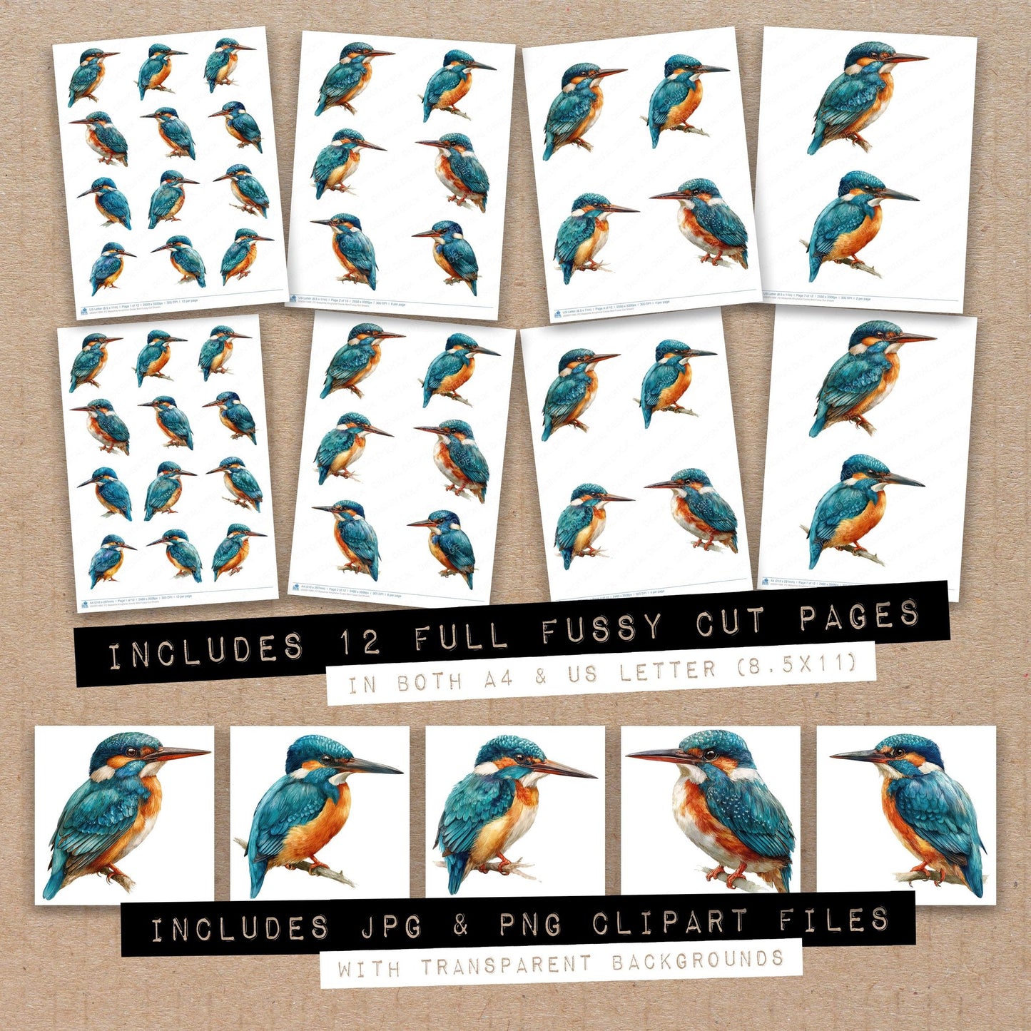 Full collection view of Malachite Kingfisher Exotic Bird fussy cut sheets with bonus clipart JPG and PNG files