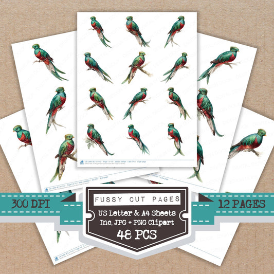 Resplendent Quetzal Exotic Bird fussy cut printable sheets for junk journaling, scrapbooking, and paper craft projects