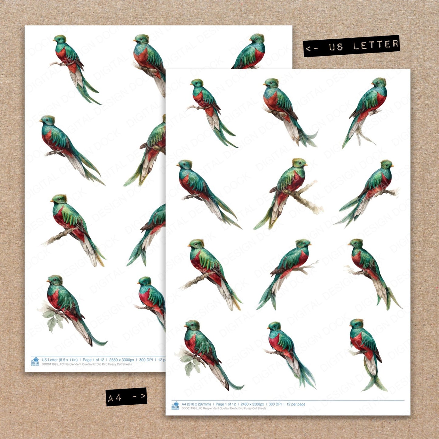 A4 and US Letter format comparison showing Resplendent Quetzal Exotic Bird fussy cut pages for print and cut crafting