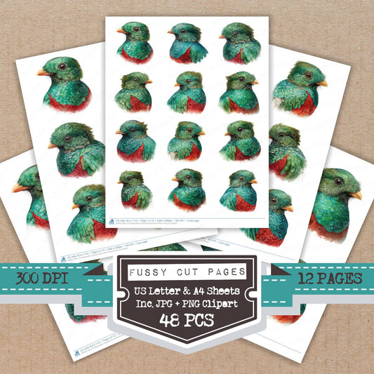 Resplendent Quetzal Exotic Bird Portrait fussy cut printable sheets for junk journaling, scrapbooking, and paper craft projects