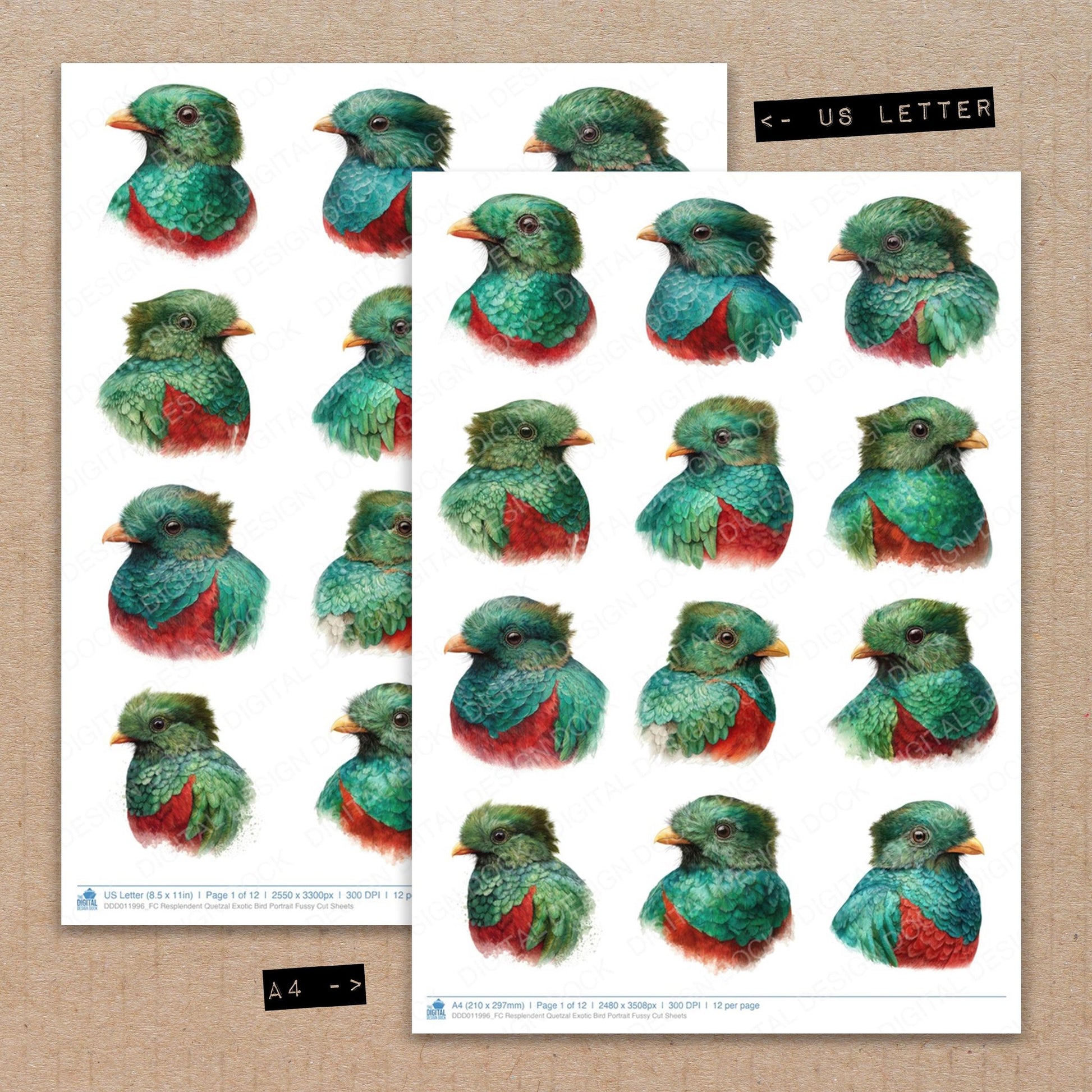 A4 and US Letter format comparison showing Resplendent Quetzal Exotic Bird Portrait fussy cut pages for print and cut crafting