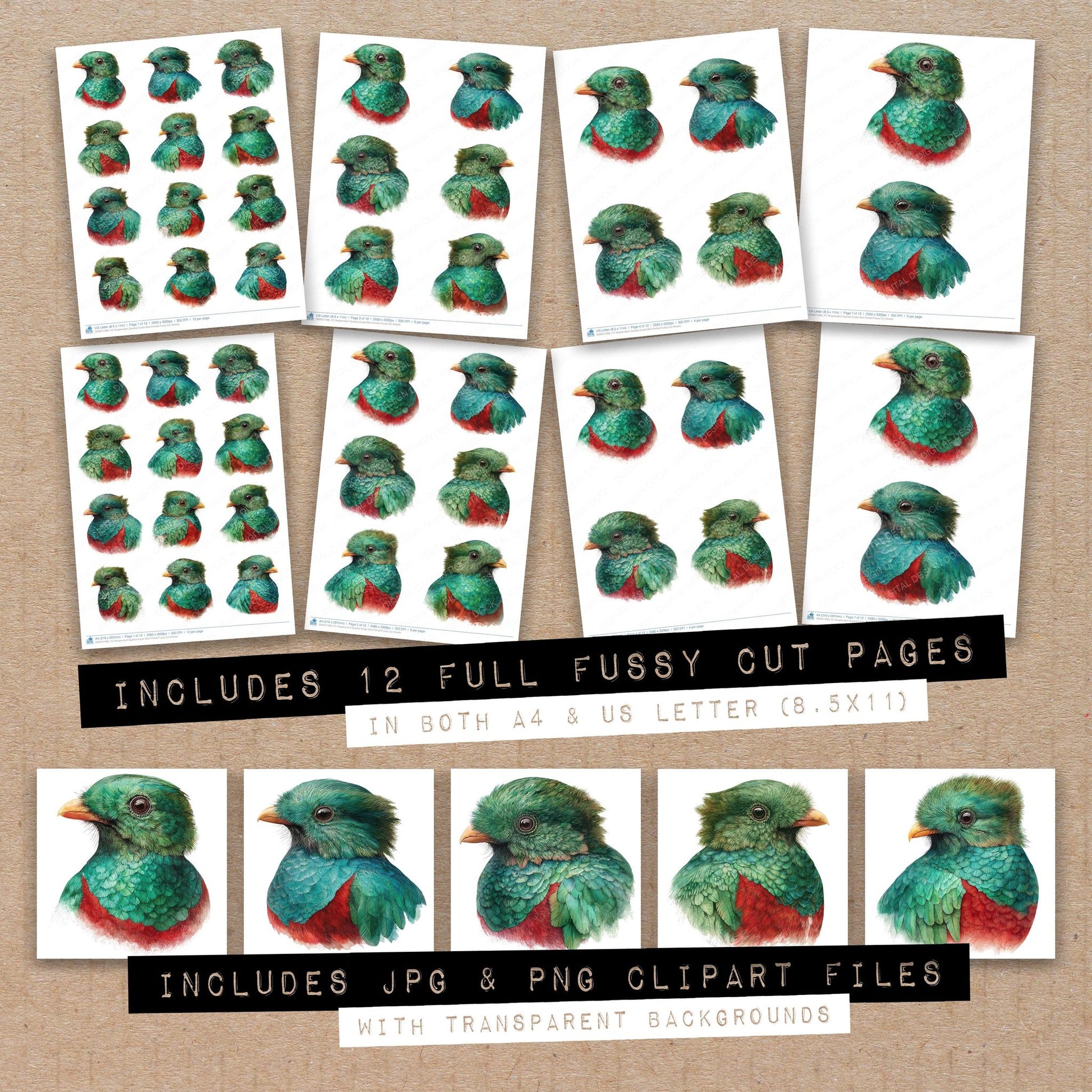 Full collection view of Resplendent Quetzal Exotic Bird Portrait fussy cut sheets with bonus clipart JPG and PNG files