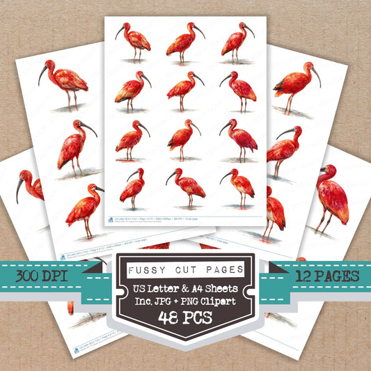 Scarlet Ibis Exotic Bird fussy cut printable sheets for junk journaling, scrapbooking, and paper craft projects
