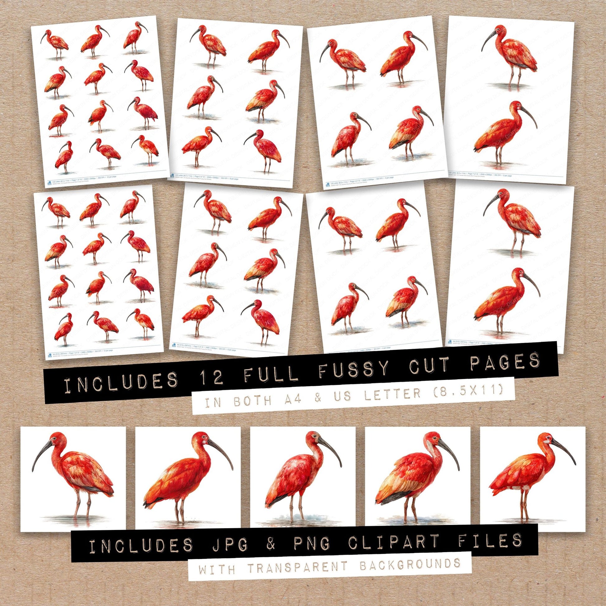 Full collection view of Scarlet Ibis Exotic Bird fussy cut sheets with bonus clipart JPG and PNG files