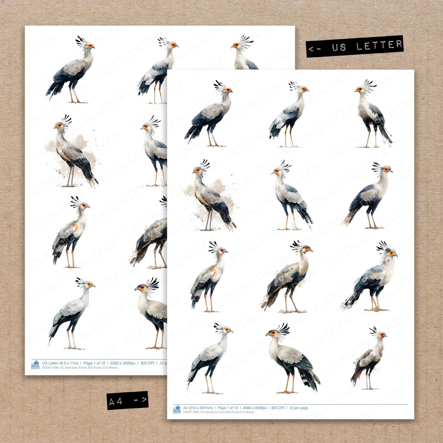 A4 and US Letter format comparison showing Secretary Exotic Bird fussy cut pages for print and cut crafting