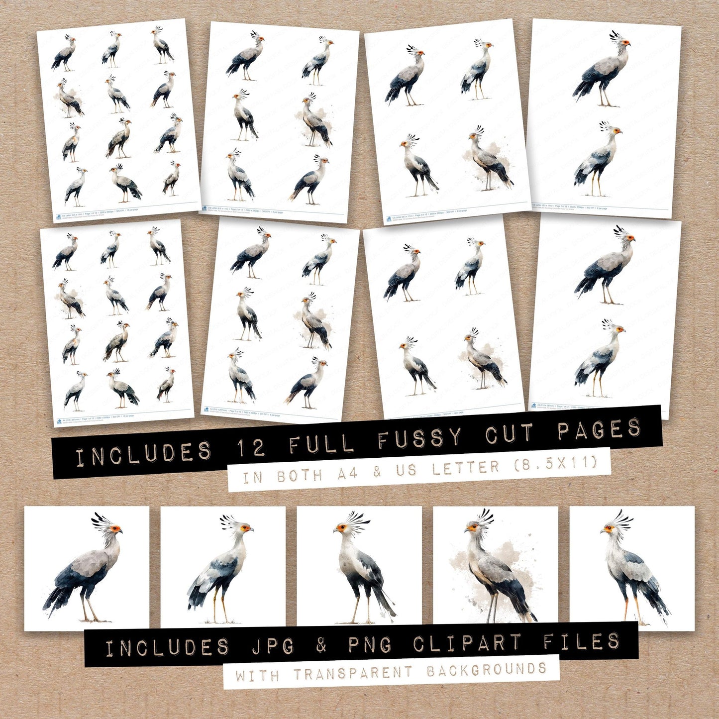 Full collection view of Secretary Exotic Bird fussy cut sheets with bonus clipart JPG and PNG files