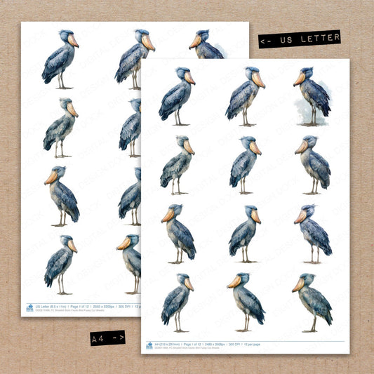A4 and US Letter format comparison showing Shoebill Stork Exotic Bird fussy cut pages for print and cut crafting
