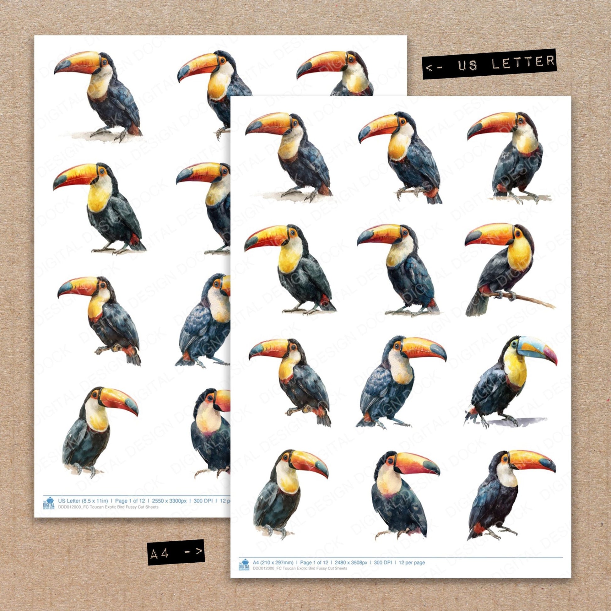 A4 and US Letter format comparison showing Toucan Exotic Bird fussy cut pages for print and cut crafting