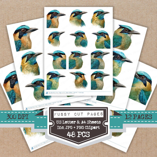Blue Crowned Motmot Exotic Bird Portrait fussy cut printable sheets for junk journaling, scrapbooking, and paper craft projects