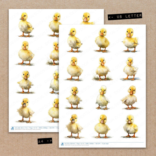 A4 and US Letter format comparison showing Cute Little Duckling fussy cut pages for print and cut crafting