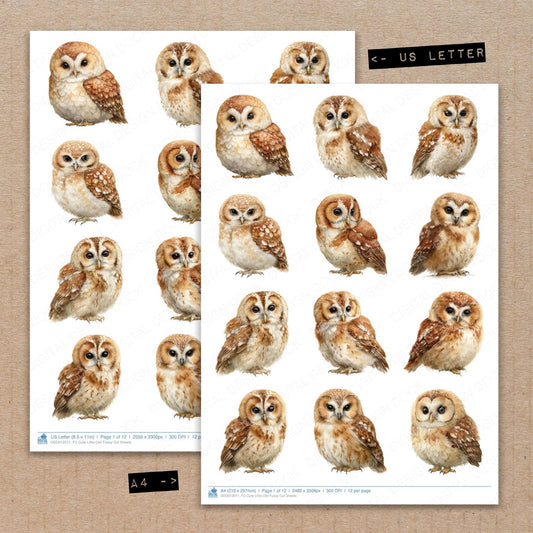 A4 and US Letter format comparison showing Cute Little Owl fussy cut pages for print and cut crafting