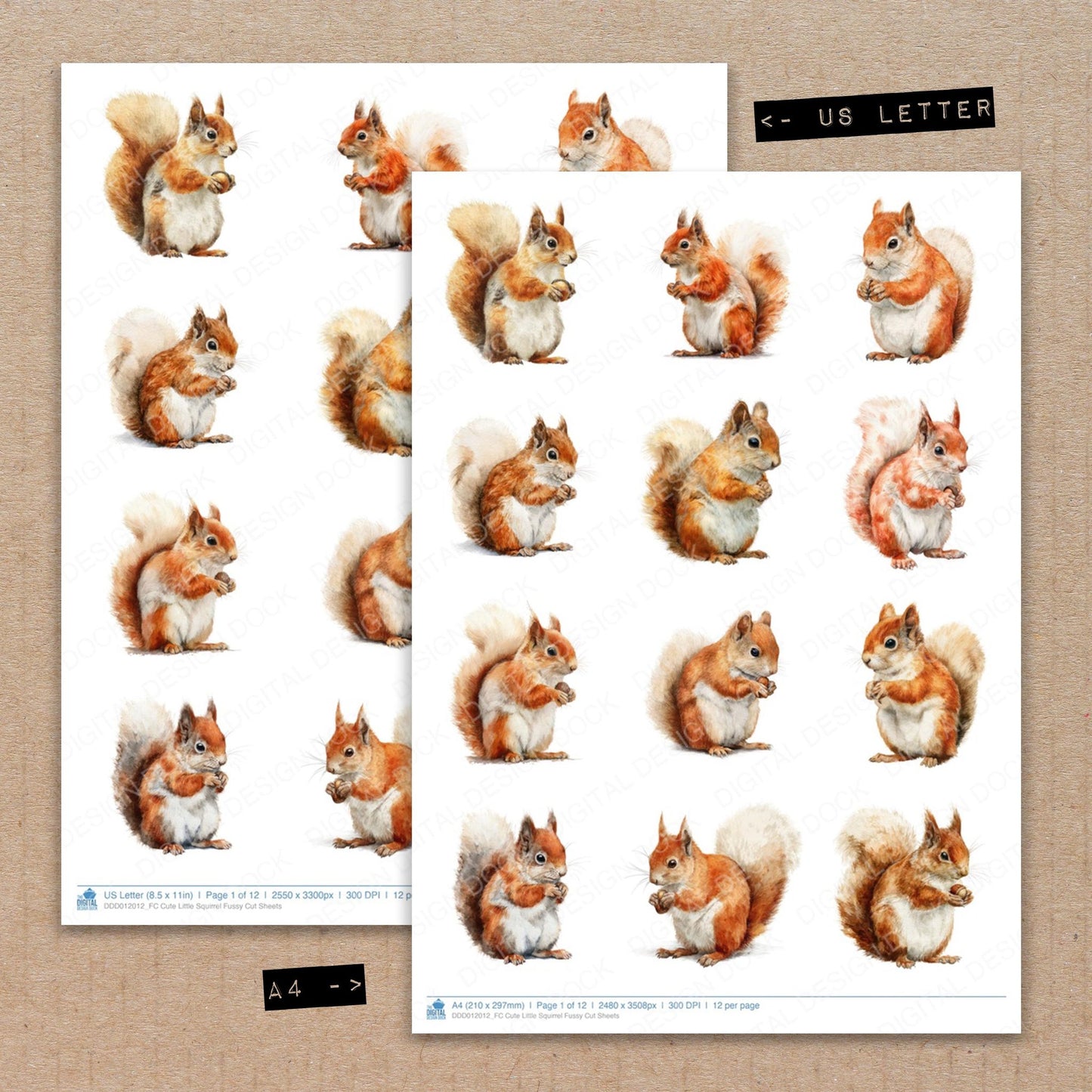 A4 and US Letter format comparison showing Cute Little Squirrel fussy cut pages for print and cut crafting