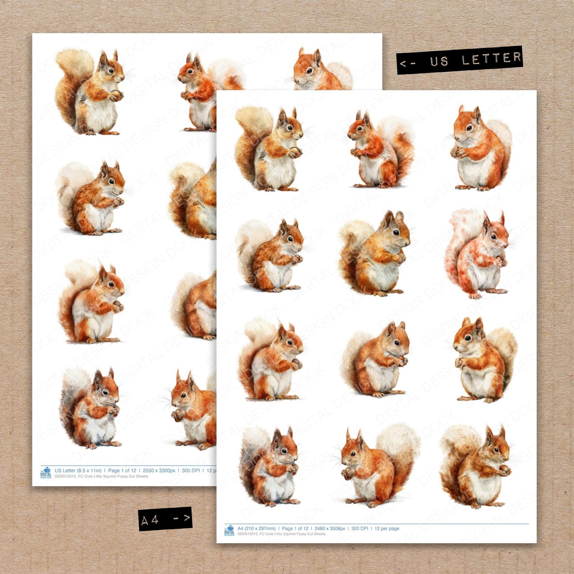 A4 and US Letter format comparison showing Cute Little Squirrel fussy cut pages for print and cut crafting