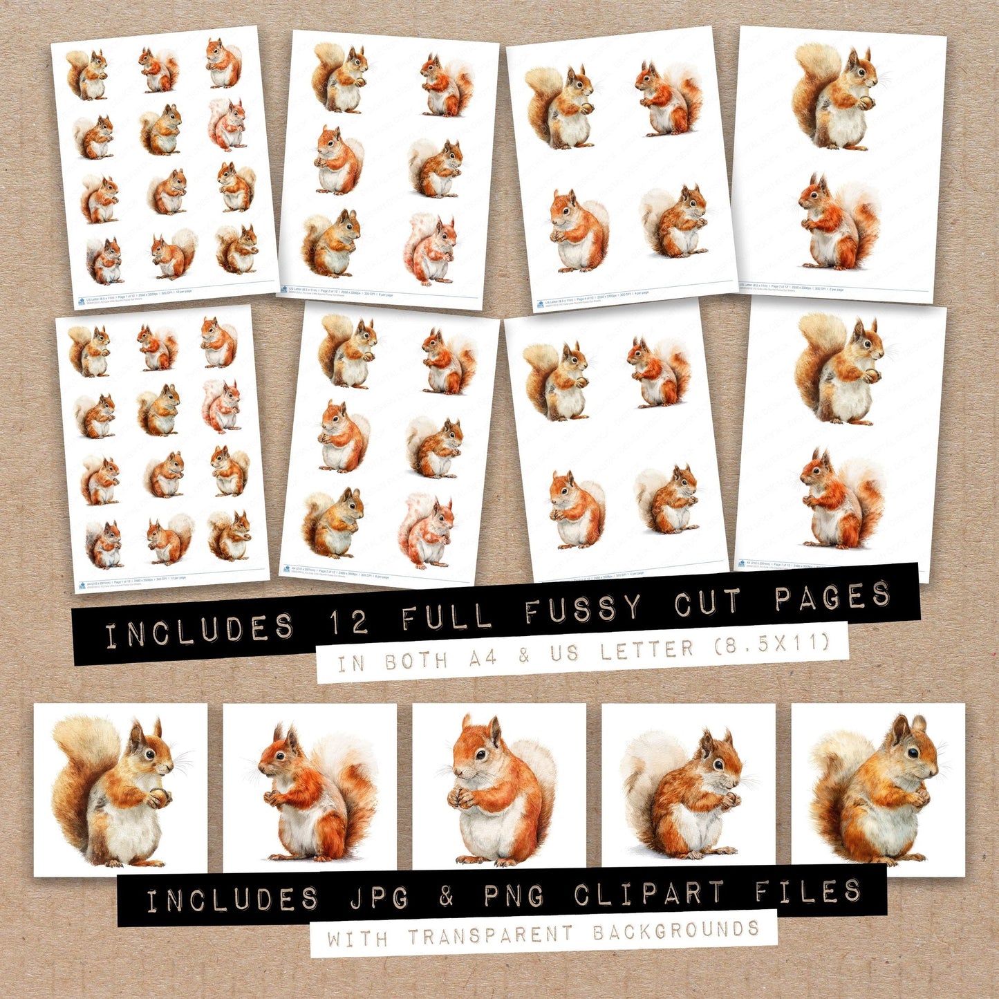 Full collection view of Cute Little Squirrel fussy cut sheets with bonus clipart JPG and PNG files