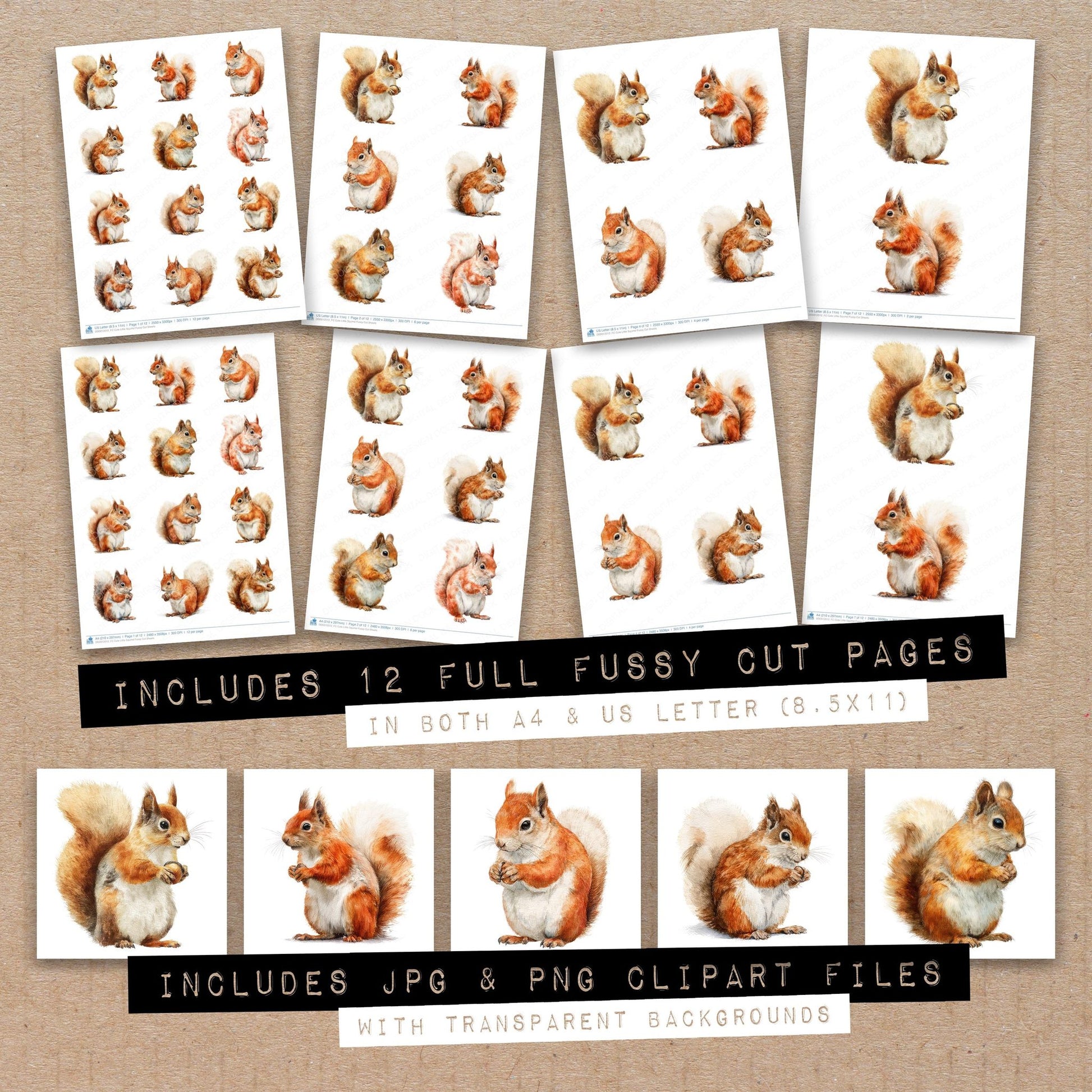 Full collection view of Cute Little Squirrel fussy cut sheets with bonus clipart JPG and PNG files