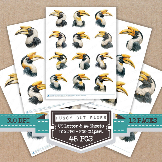Hornbill Exotic Bird Portrait fussy cut printable sheets for junk journaling, scrapbooking, and paper craft projects