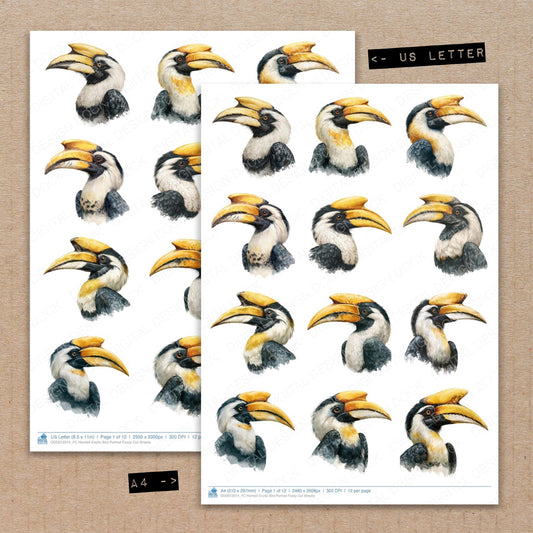 A4 and US Letter format comparison showing Hornbill Exotic Bird Portrait fussy cut pages for print and cut crafting
