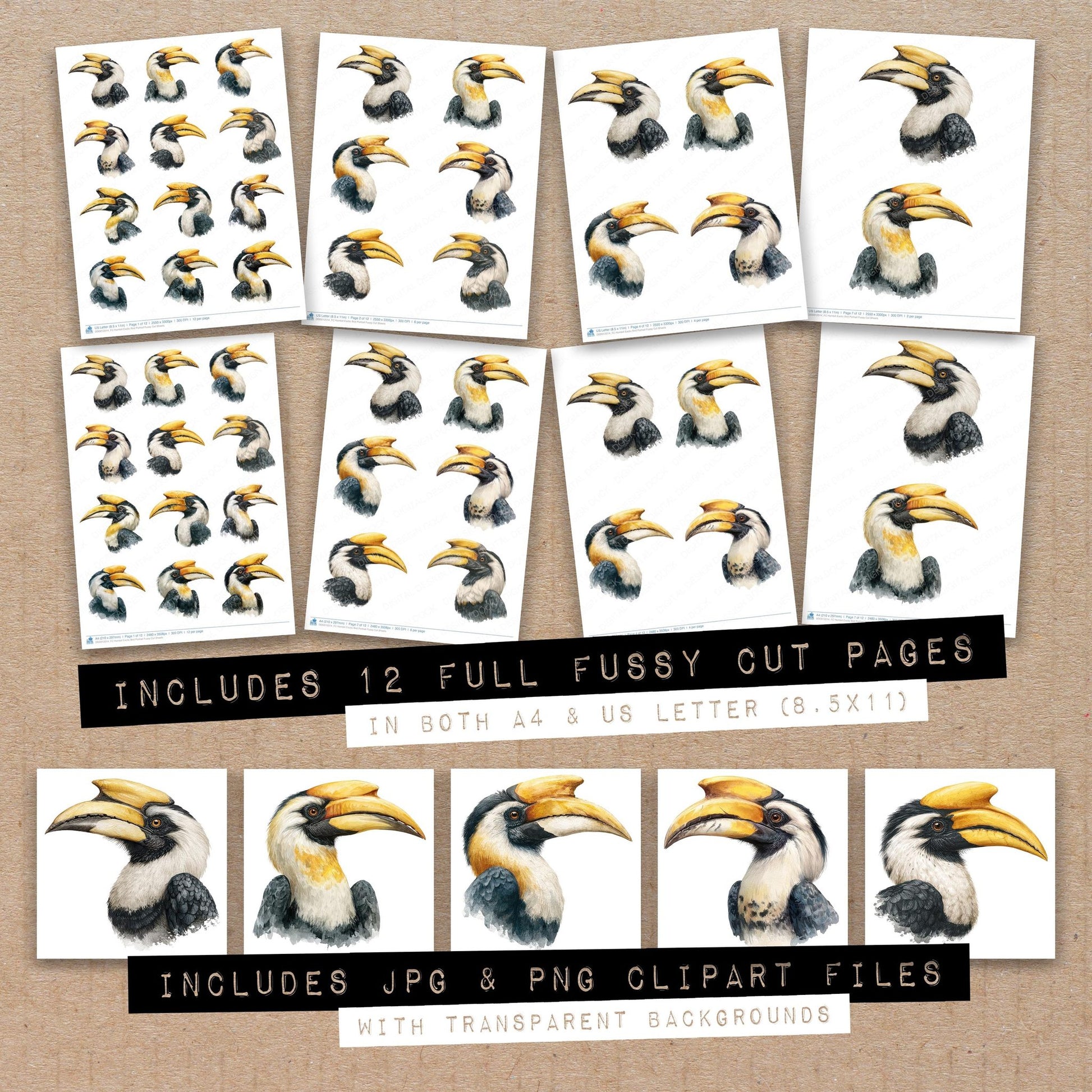 Full collection view of Hornbill Exotic Bird Portrait fussy cut sheets with bonus clipart JPG and PNG files