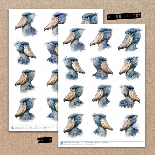 A4 and US Letter format comparison showing Shoebill Stork Exotic Bird Portrait fussy cut pages for print and cut crafting