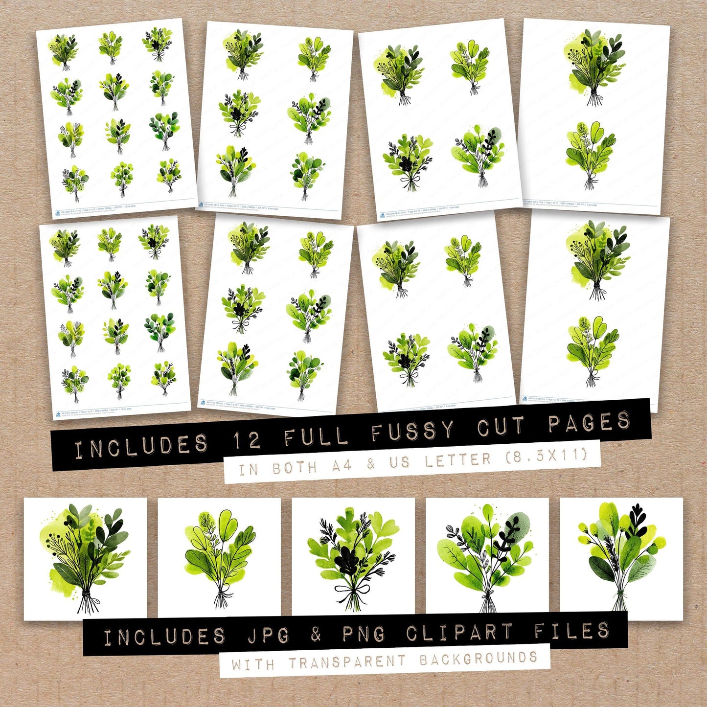 Full collection view of Simple Minimal Herb Illustration fussy cut sheets with bonus clipart JPG and PNG files