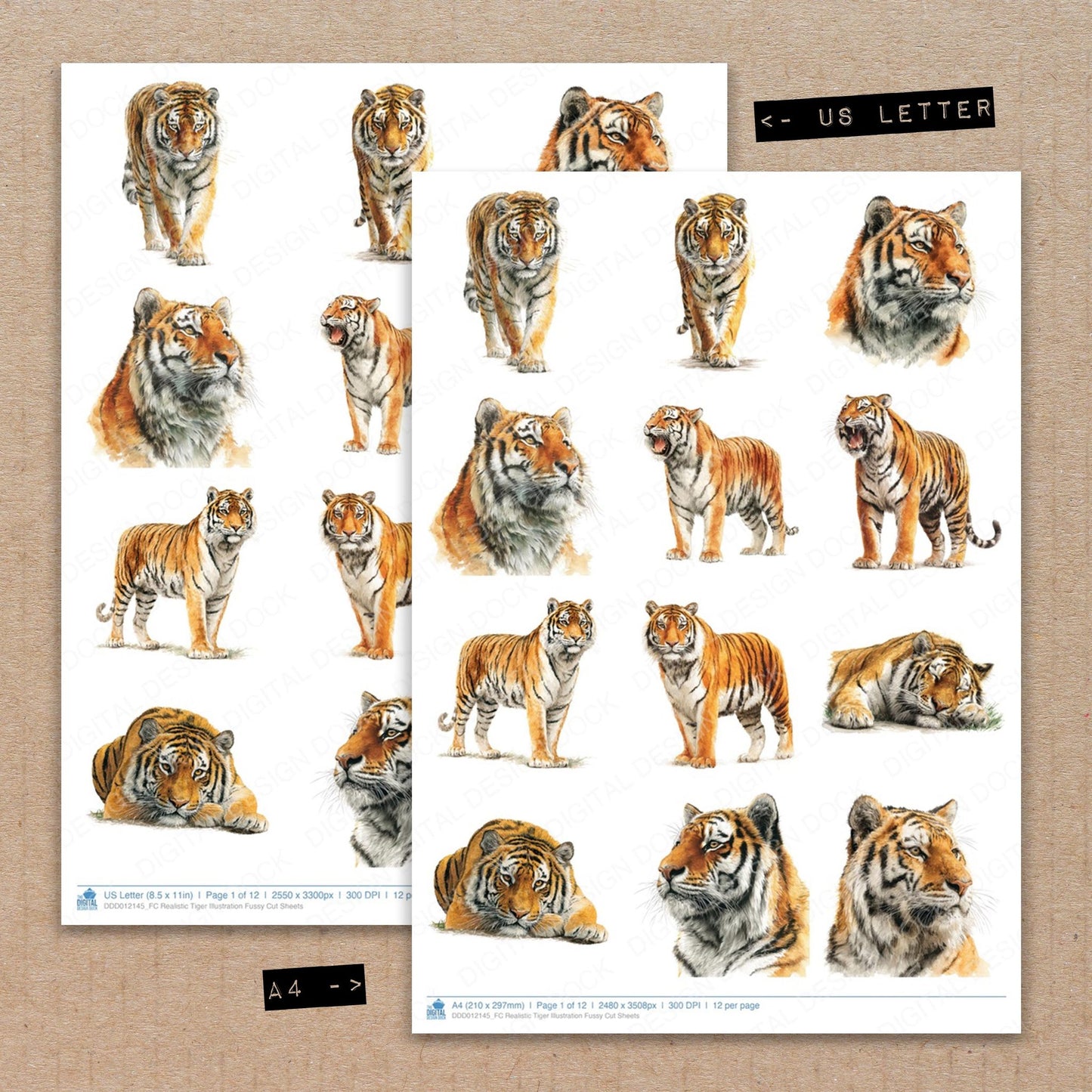 A4 and US Letter format comparison showing Realistic Tiger Illustration fussy cut pages for print and cut crafting