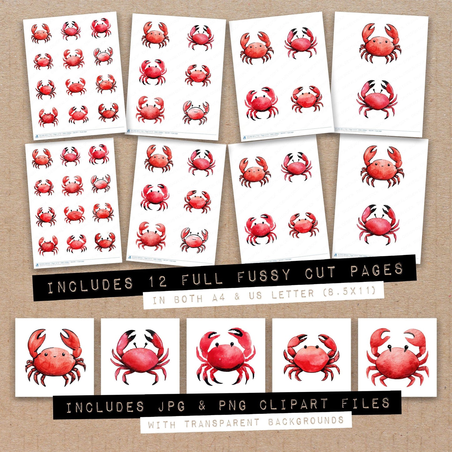 Full collection view of Simple Minimal Crab Illustration fussy cut sheets with bonus clipart JPG and PNG files