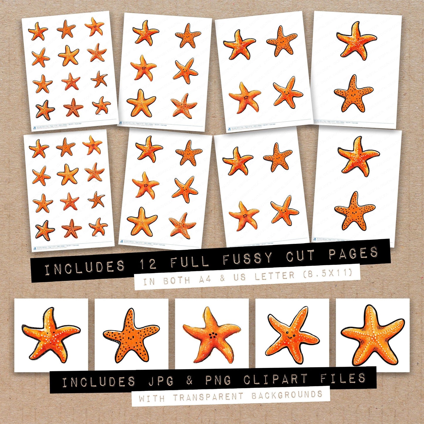 Full collection view of Simple Minimal Starfish Illustration fussy cut sheets with bonus clipart JPG and PNG files