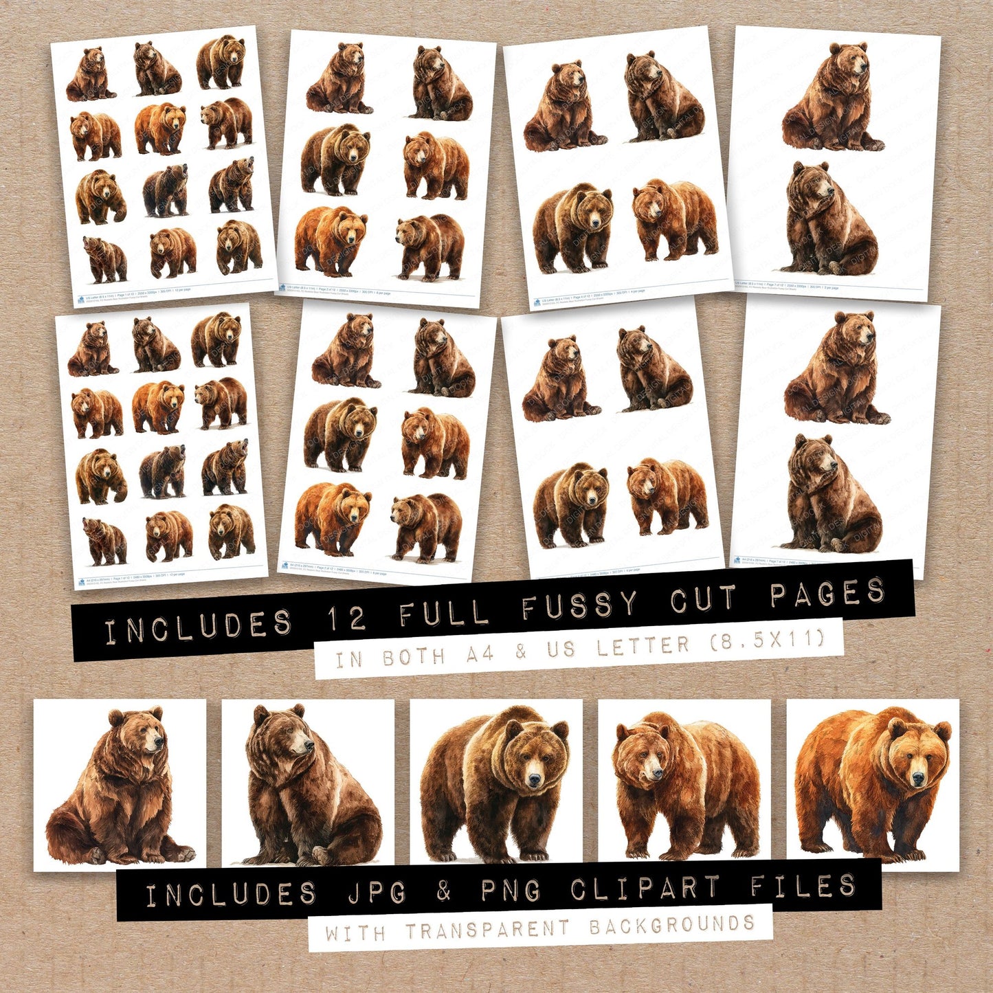 Full collection view of Realistic Bear Illustration fussy cut sheets with bonus clipart JPG and PNG files