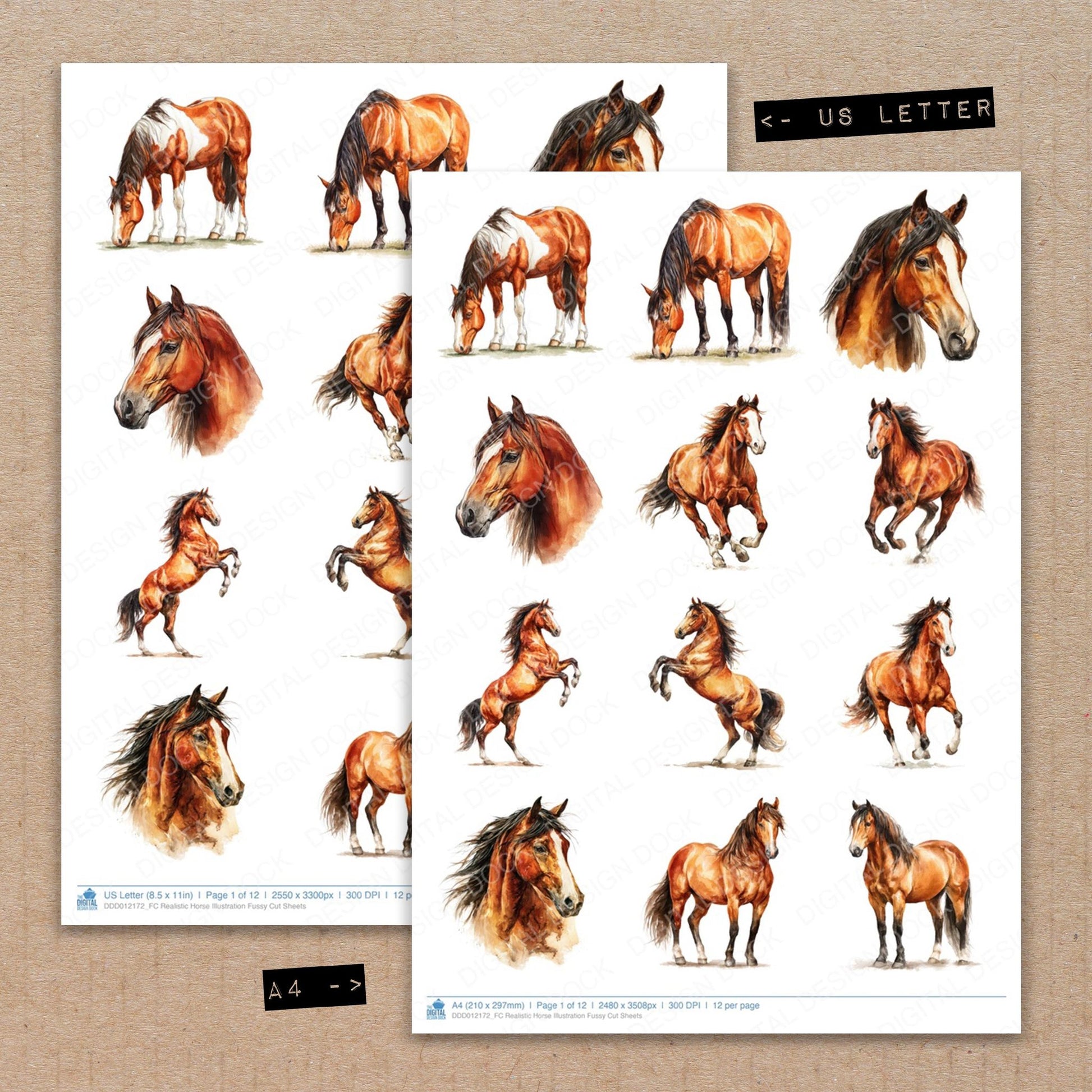 A4 and US Letter format comparison showing Realistic Horse Illustration fussy cut pages for print and cut crafting