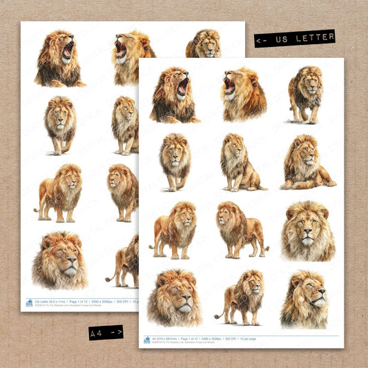A4 and US Letter format comparison showing Realistic Lion Illustration fussy cut pages for print and cut crafting