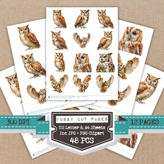 Realistic Owl Illustration fussy cut printable sheets for junk journaling, scrapbooking, and paper craft projects