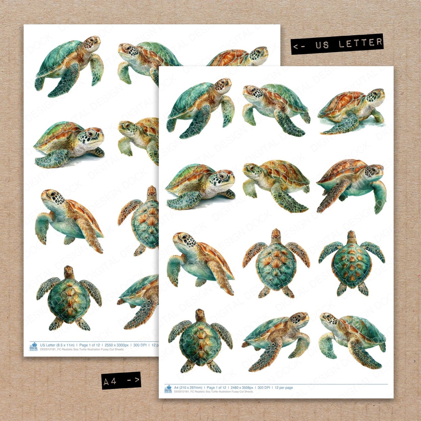 A4 and US Letter format comparison showing Realistic Sea Turtle Illustration fussy cut pages for print and cut crafting
