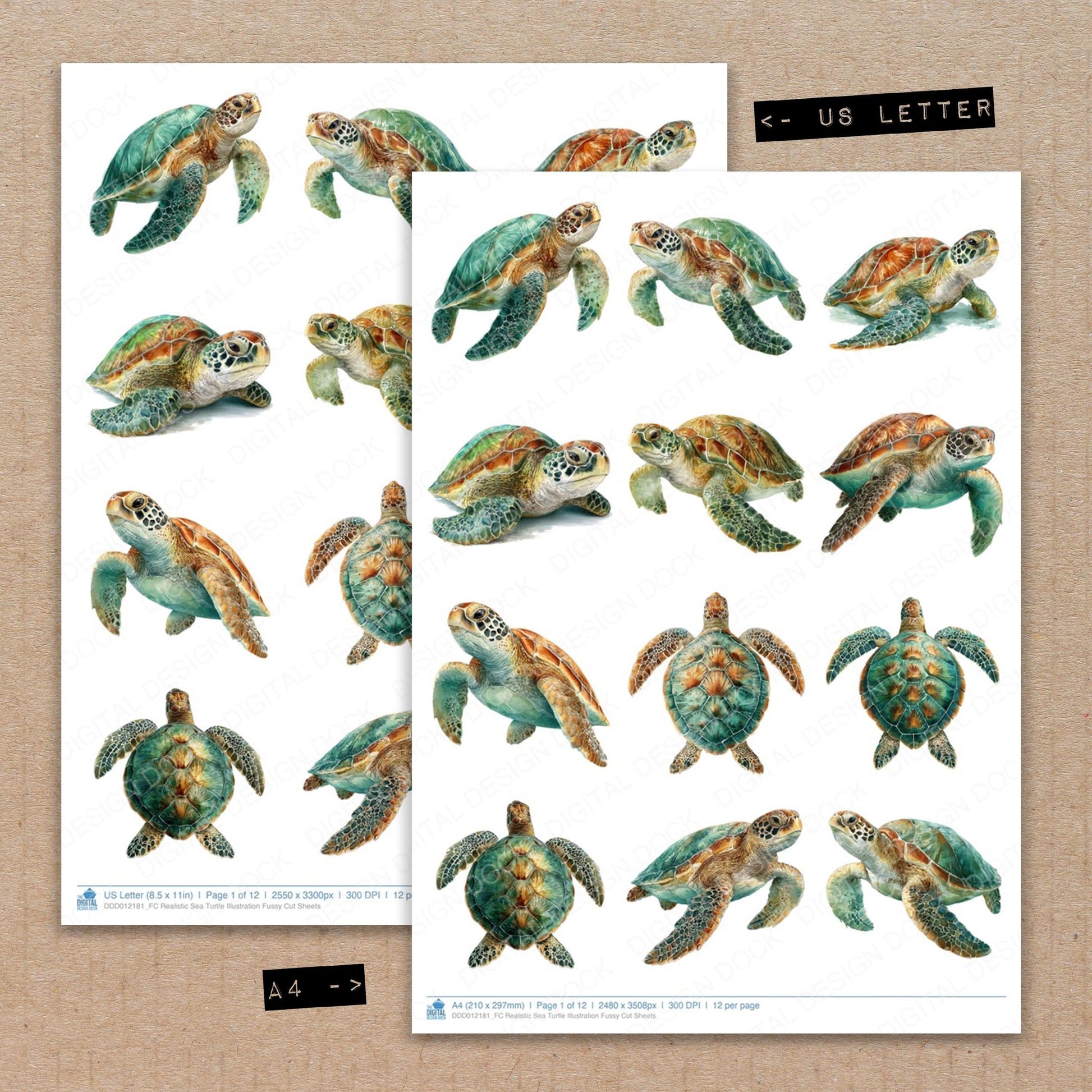 A4 and US Letter format comparison showing Realistic Sea Turtle Illustration fussy cut pages for print and cut crafting