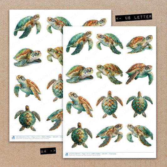 A4 and US Letter format comparison showing Realistic Sea Turtle Illustration fussy cut pages for print and cut crafting